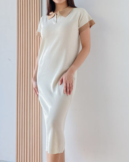 Lucca Stretchable Knit with Collar Dress